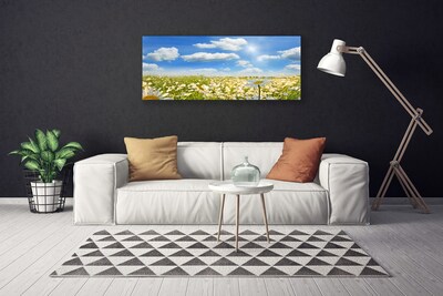 Tableaux sur toile Marguerite prairie nature vert bleu blanc