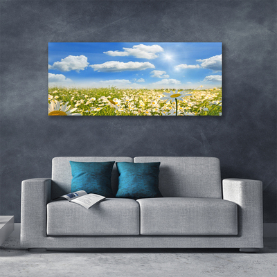 Tableaux sur toile Marguerite prairie nature vert bleu blanc