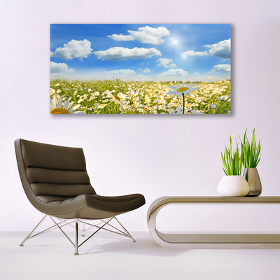 Tableaux sur toile Marguerite prairie nature vert bleu blanc