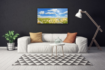 Tableaux sur toile Marguerite prairie nature vert bleu blanc