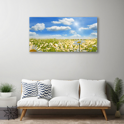 Tableaux sur toile Marguerite prairie nature vert bleu blanc