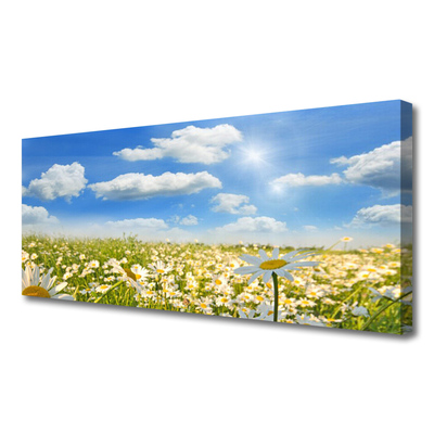 Tableaux sur toile Marguerite prairie nature vert bleu blanc