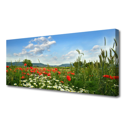 Tableaux sur toile Fleurs prairie nature vert rouge blanc