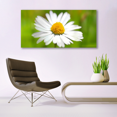 Photo sur toile Marguerite floral jaune blanc