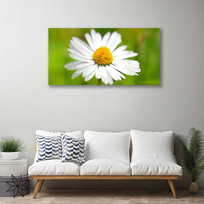 Photo sur toile Marguerite floral jaune blanc