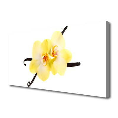 Photo sur toile Fleurs floral blanc jaune brun