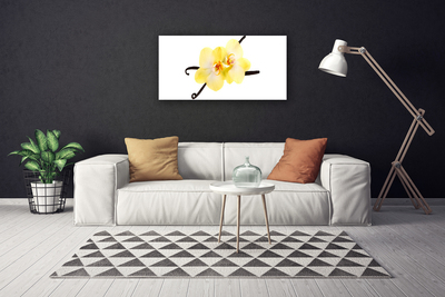 Photo sur toile Fleurs floral blanc jaune brun