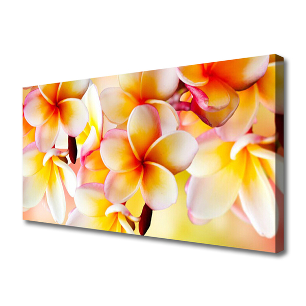 Photo sur toile Fleurs floral rouge vert blanc