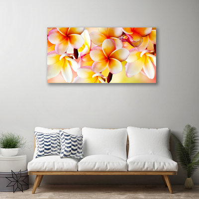 Photo sur toile Fleurs floral rouge vert blanc