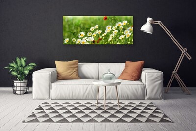 Photo sur toile Marguerite nature jaune blanc