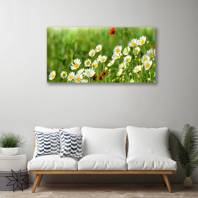 Photo sur toile Marguerite nature jaune blanc