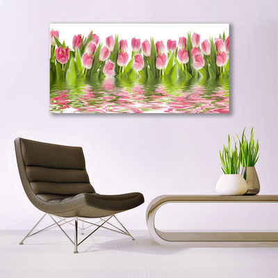 Photo sur toile Tulipes floral rose vert