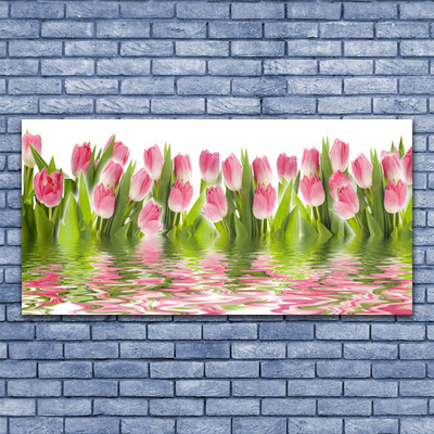 Photo sur toile Tulipes floral rose vert