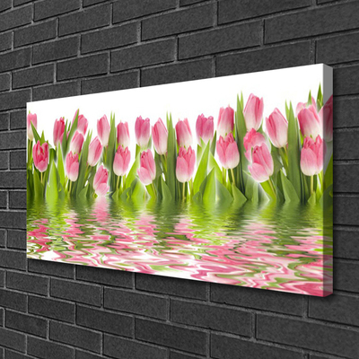 Photo sur toile Tulipes floral rose vert