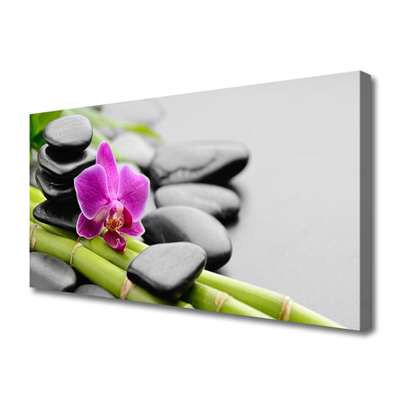 Photo sur toile Pierres fleurs bambou art vert rose noir