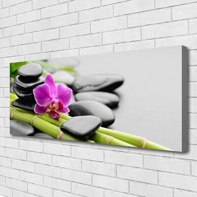 Photo sur toile Pierres fleurs bambou art vert rose noir