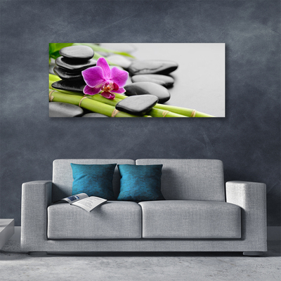 Photo sur toile Pierres fleurs bambou art vert rose noir