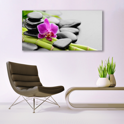 Photo sur toile Pierres fleurs bambou art vert rose noir