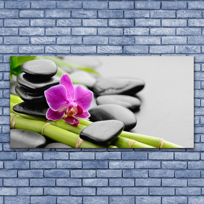 Photo sur toile Pierres fleurs bambou art vert rose noir