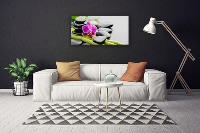 Photo sur toile Pierres fleurs bambou art vert rose noir