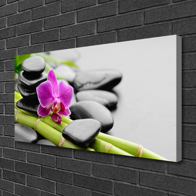 Photo sur toile Pierres fleurs bambou art vert rose noir