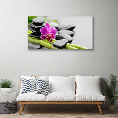 Photo sur toile Pierres fleurs bambou art vert rose noir