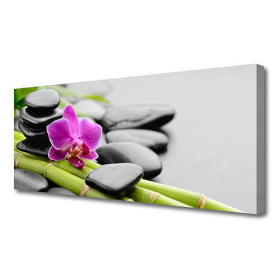 Photo sur toile Pierres fleurs bambou art vert rose noir