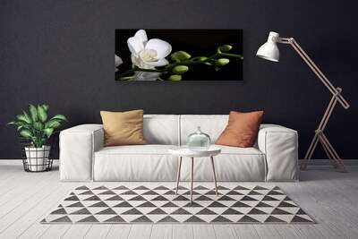 Photo sur toile Fleur floral blanc