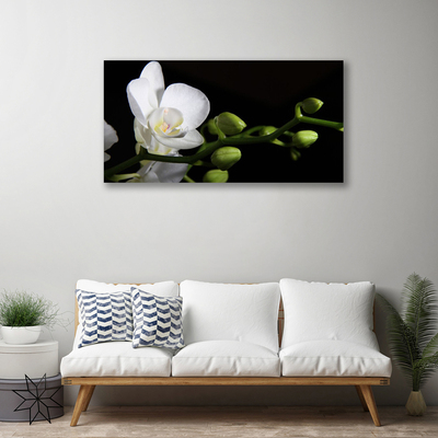 Photo sur toile Fleur floral blanc