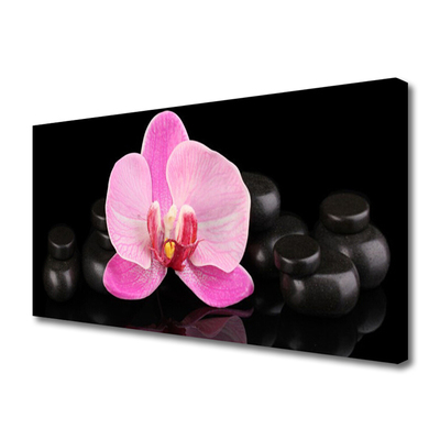 Photo sur toile Pierres fleurs floral rose noir