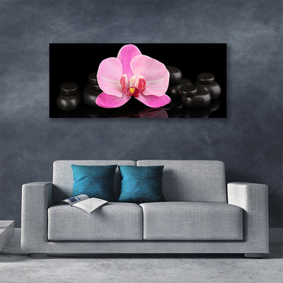 Photo sur toile Pierres fleurs floral rose noir