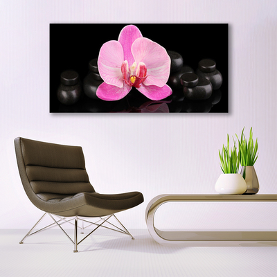 Photo sur toile Pierres fleurs floral rose noir