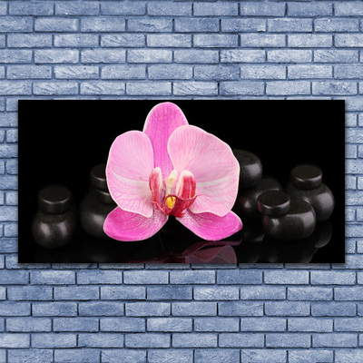 Photo sur toile Pierres fleurs floral rose noir