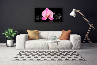 Photo sur toile Pierres fleurs floral rose noir