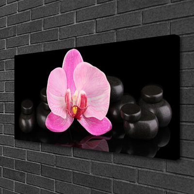 Photo sur toile Pierres fleurs floral rose noir