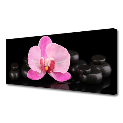 Photo sur toile Pierres fleurs floral rose noir