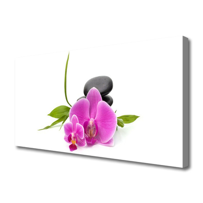 Photo sur toile Pierres fleurs floral rose noir