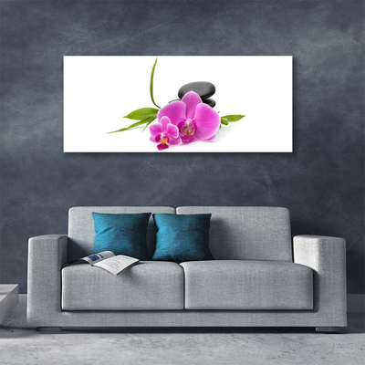 Photo sur toile Pierres fleurs floral rose noir