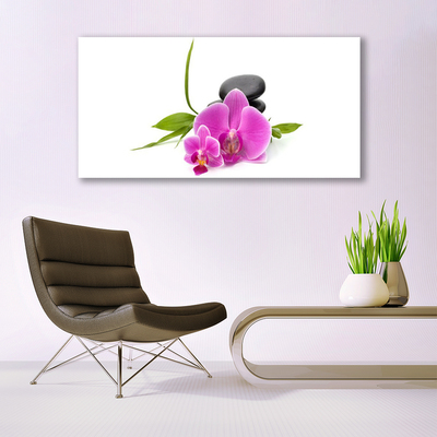 Photo sur toile Pierres fleurs floral rose noir