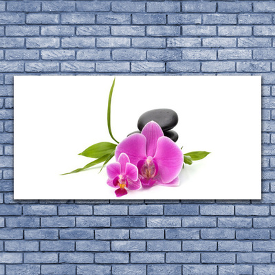 Photo sur toile Pierres fleurs floral rose noir