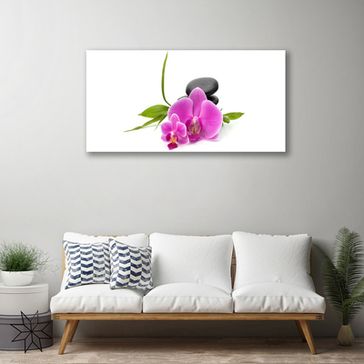 Photo sur toile Pierres fleurs floral rose noir