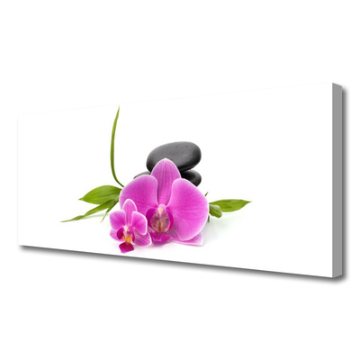 Photo sur toile Pierres fleurs floral rose noir