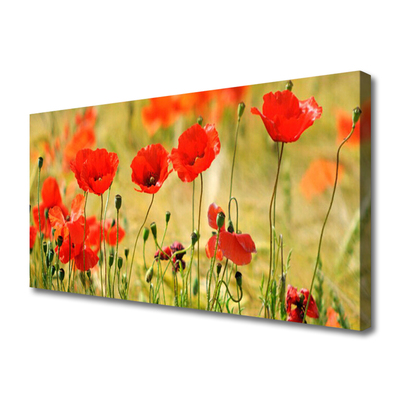 Photo sur toile Coquelicots nature rouge vert