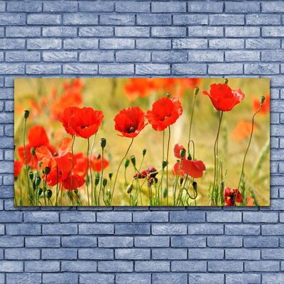 Photo sur toile Coquelicots nature rouge vert