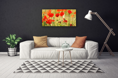 Photo sur toile Coquelicots nature rouge vert