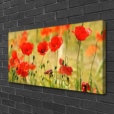 Photo sur toile Coquelicots nature rouge vert