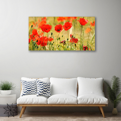 Photo sur toile Coquelicots nature rouge vert