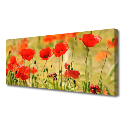 Photo sur toile Coquelicots nature rouge vert