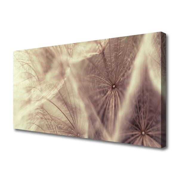 Photo sur toile Pissenlit floral gris