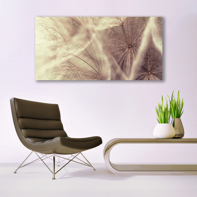 Photo sur toile Pissenlit floral gris